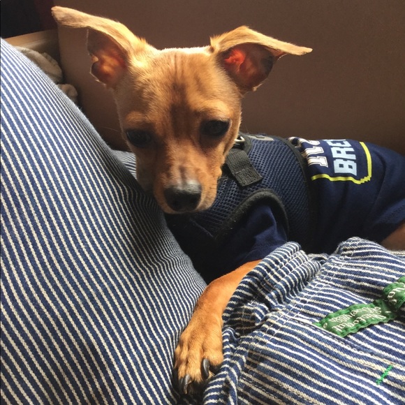 Meet your Posher, Jud - Picture 13 of 14